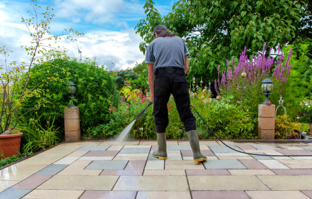 Best Brick and Stone Cleaning in Garner, NC